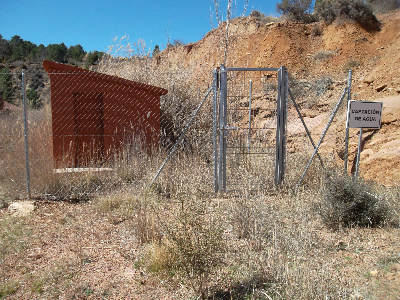 Imagen de JUNCARILLO