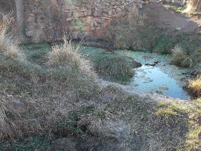Imagen de SALOBREJA