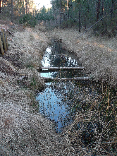 Imagen ARROYO DE CARBONERAS