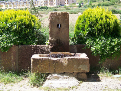 Imagen de SAN ROQUE