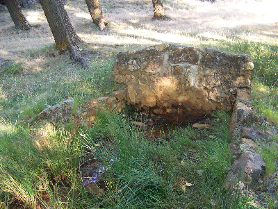 Imagen de HIERRO I