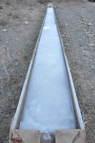 Imagen de FUENSALADA