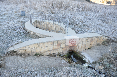Imagen de OJUELO