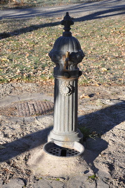 Imagen de PARQUE MUNICIPAL I