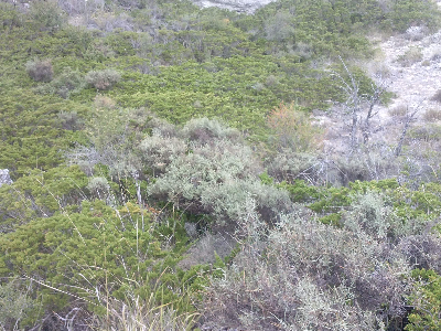 Imagen POZO DEL HOSTAL