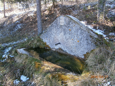 Imagen de TEJA
