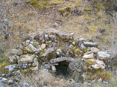 Imagen de ZARAGOZANA