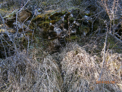 Imagen de POYAL