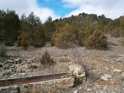 Imagen de POZUELO