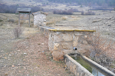 Imagen de ALREGAL (ALRERAL)