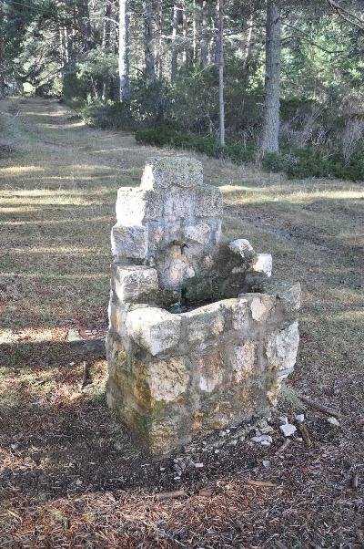 Imagen de CAMPAMENTO II