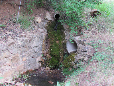 Imagen de BARRANCO TOBÍAS