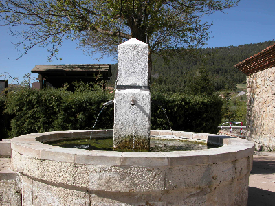 Imagen de PLAZA