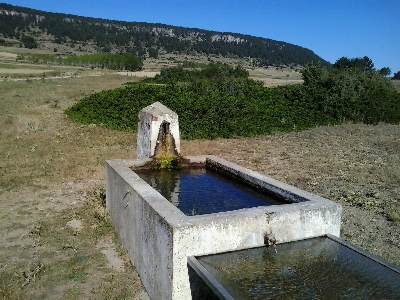 Imagen de NUEVA O FUENTE BLANCA