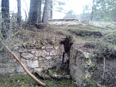 Imagen de COLMENA MALENA