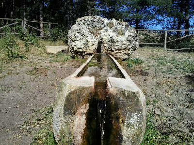 Imagen de MALENA
