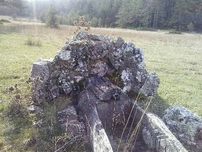 Imagen de BALSAS