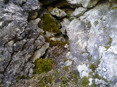 Imagen de PORTILLO EL CORZO