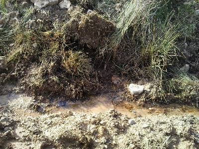 Imagen de CAÑO TÍO HOSPICIO