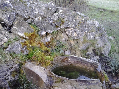 Imagen de RINCÓN