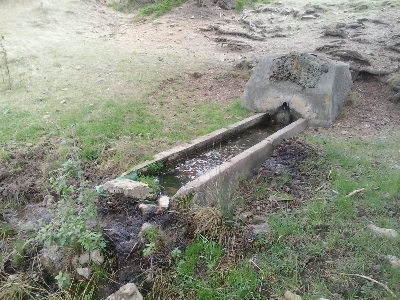 Imagen de TERRERO