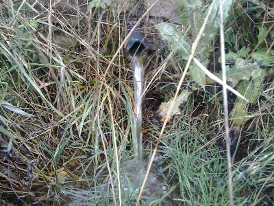 Imagen de CAMINO CODES