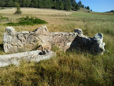 Imagen de SODUNA