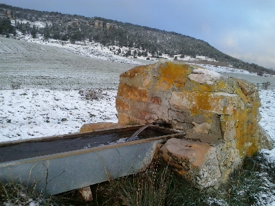 Imagen de CAMINO DEL CUARTO