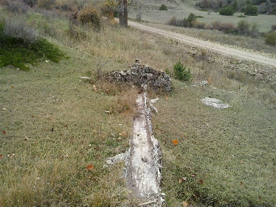 Imagen PÁJAROS DE ABAJO