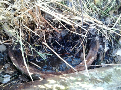 Imagen SALUD. EL HIERRO