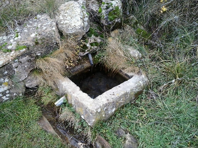 Imagen de PÁJAROS DE ARRIBA