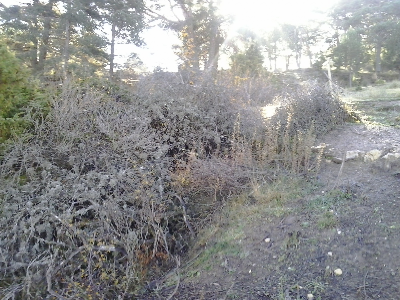 Imagen de QUEBRADAS DE ARRIBA