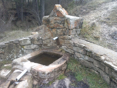 Imagen de MALENA VIEJA
