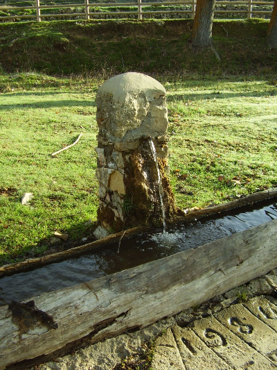 Imagen de MOLINO