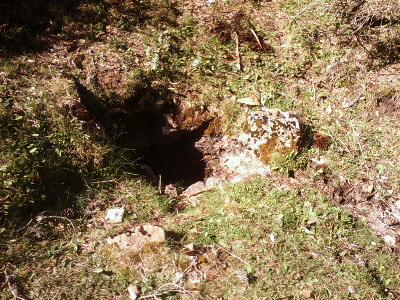 Imagen de TÍO MIGUELILLO