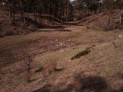 Imagen NACIMIENTO LOS MASEGARES