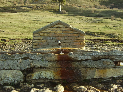 Imagen de ABREV. DEL PICOTE