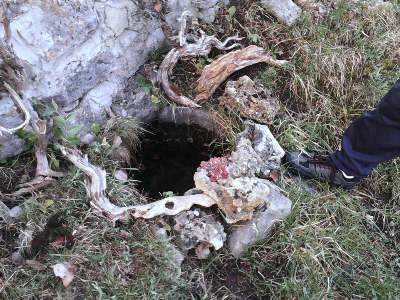 Imagen de COLMENO DEL MOLINERO
