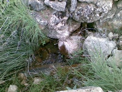 Imagen de POYAL DEL RESOMERO