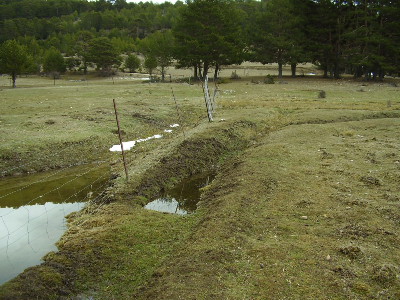 Imagen de GOTIAL DEL COLLADO