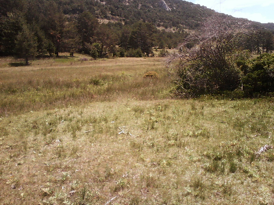 Imagen de HONTARRÓN (PIAZO DE ATILANO)