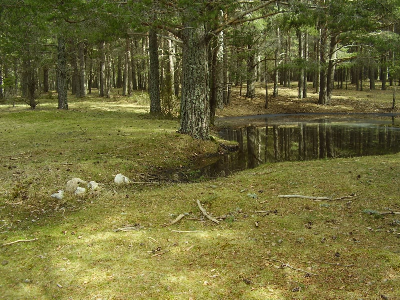 Imagen de LAGUNAS DEL VERCOLAR