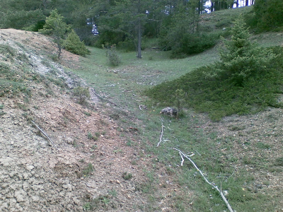 Imagen de VALLEJO JUAN GÓMEZ