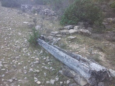 Imagen de ENJORDANA