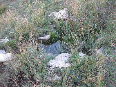 Imagen de CIRUJEDA