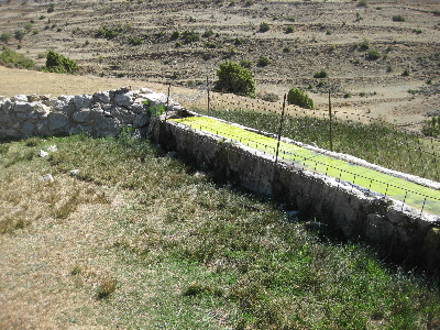 Imagen de POYAL DE LAS FUENTES