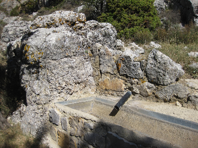 Imagen de ZORRA