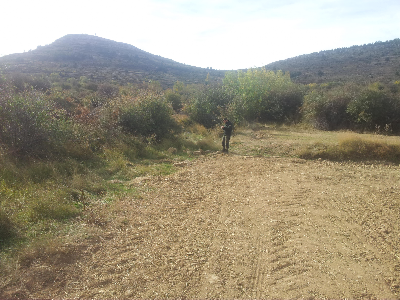 Imagen de CAÑO