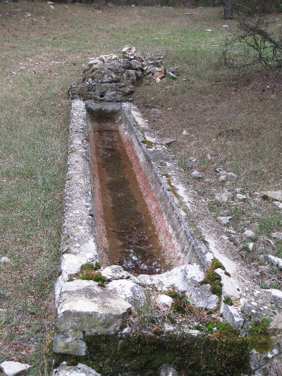 Imagen de HERRERUELA