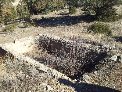 Imagen de BALSARROYA